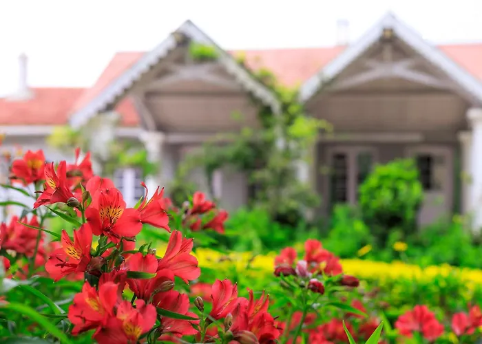 Stayvista At The Alcove With Breakfast & Bbq Grill Ooty