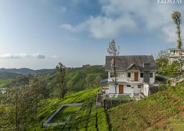 Eko Stay - Woodside IvyVilla